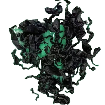 Fornecer comida saborosa Chuka algas secas Wakame Adequado para uma experiência gourmet normal