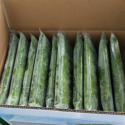 Frigorífico de Shandong em fatias de algas marinhas para tempero de salada doce e azeda 1 ano de validade