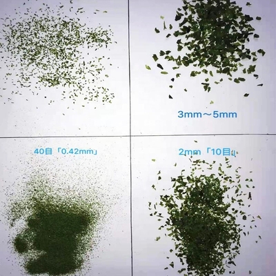 Refeições ricas em fibras Algas marinhas secas Lavanda verde Aonori Ulva Lactuca em pó