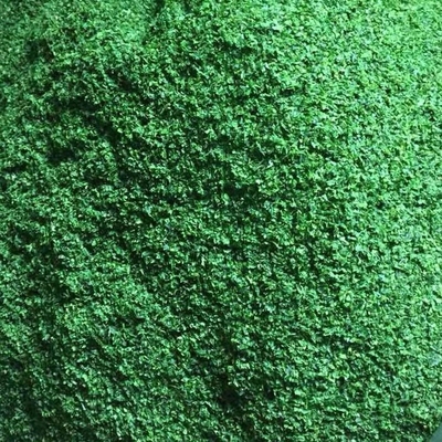 Refeições ricas em fibras Algas marinhas secas Lavanda verde Aonori Ulva Lactuca em pó