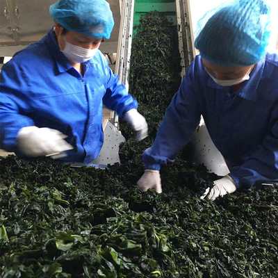 3cm de comprimento Vegetais desidratados Wakame Laver seco para fast food 20Kg embalagem a granel