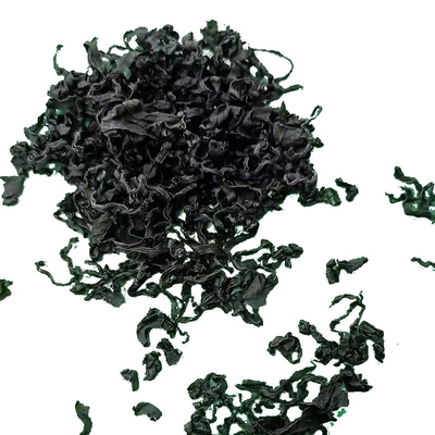 Ingredientes normais Alga verde escuro Alga seca cheiro fragante Alga seca cortada Wakame