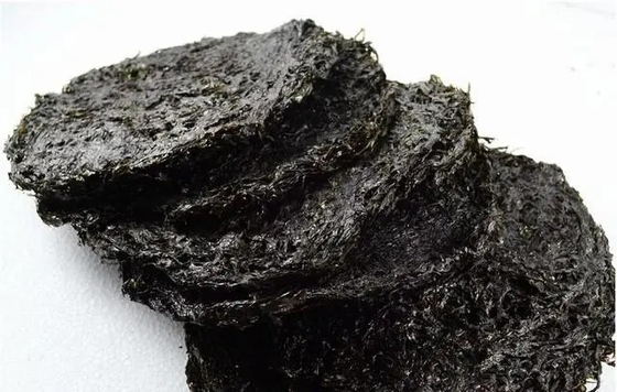 O segredo mais bem guardado da variedade Laver Porphyra Haitanensis