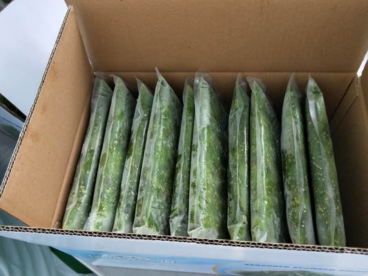 Japão Chuka Wakame congelado Salada de algas orgânicas Tipo de cultivo Instruções normais