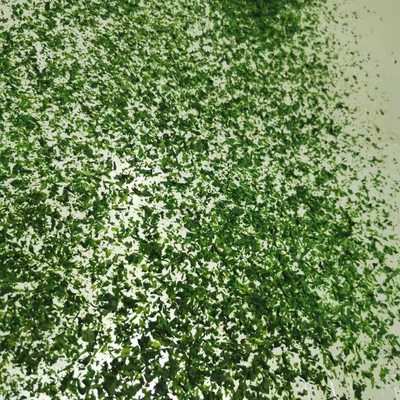 AOSA Aonori Ulva em flocos, processados, condimentados, secos e com ingredientes normais