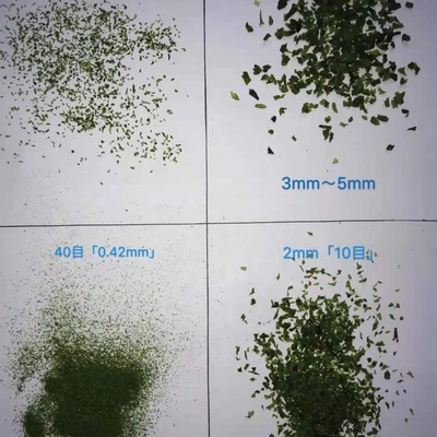 Feijões de Aonori secos a quente Folhas verdes para lanches irresistíveis de algas filipinas