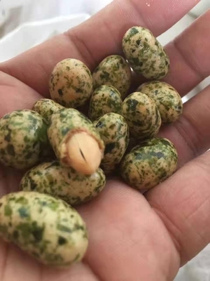 Feijões de Aonori secos a quente Folhas verdes para lanches irresistíveis de algas filipinas