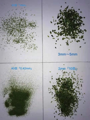 Malásia Alga Ulva Flocos de Alga Aonori Secos Flocos de Alga Variedade Laver