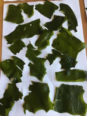 Ingredientes normais Laver Variedade Algas secas cortadas Wakame para o mercado chinês de frutos do mar