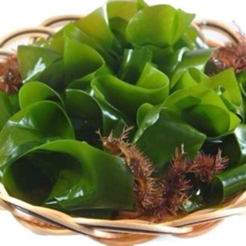 Tipo de armazenamento Normal 500g Chuka Wakame Alga seca cortada Wakame