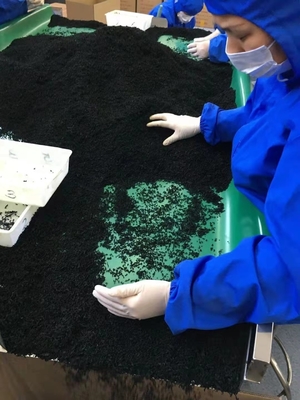 Fornecer comida saborosa Chuka algas secas Wakame Adequado para uma experiência gourmet normal