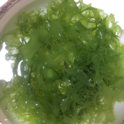 Algas marinhas secas congeladas Tosaka em estilo verde-vermelho aromatizado temperado
