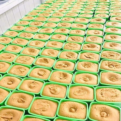 Sushi Quente Condimento e Sabor Autêntico da Pasta de Soja Cerada Shiro Miso