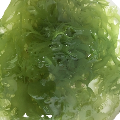 Algas marinhas secas congeladas Tosaka em estilo verde-vermelho aromatizado temperado