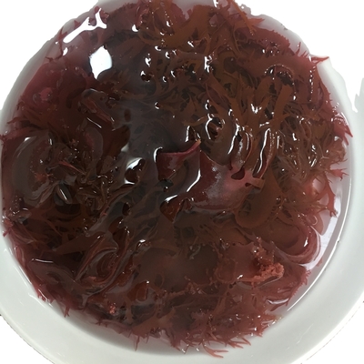 Algas marinhas secas congeladas Tosaka em estilo verde-vermelho aromatizado temperado