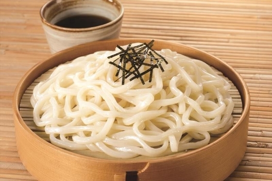 Noedles Udon congelados com trigo mouro estilo tradicional japonês