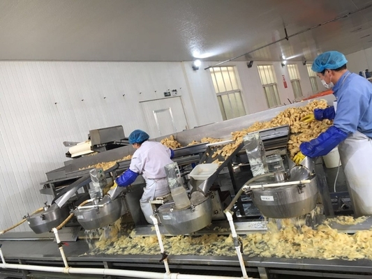 Processamento de Vinagre Sushi em picles rosa branco japonês gengibre para cultivo ao ar livre