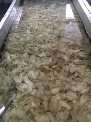Processamento de Vinagre Sushi em picles rosa branco japonês gengibre para cultivo ao ar livre