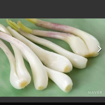 Condimento em picles Cebola bulbous chinesa Rakkyo Armazenamento NORMAL CONDITIONAL