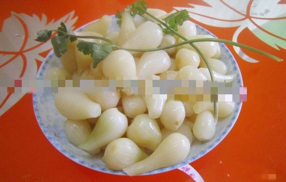 Condimento em picles Cebola bulbous chinesa Rakkyo Armazenamento NORMAL CONDITIONAL