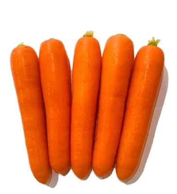 4 kg cenouras naturais vegetais frescos umbeliferos sem vegetais