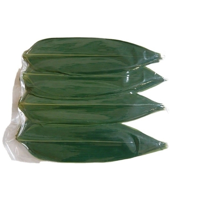 Folhas frescas de bambu 24 meses Garantida vida útil