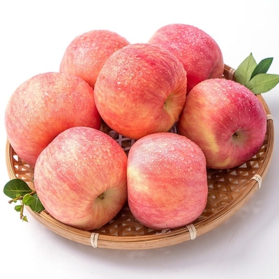 90% de maturidade Fresca Maçã Fuji Melhor e mais comum Tipo de cultivo
