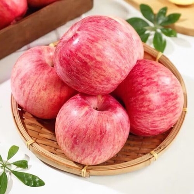90% de maturidade Fresca Maçã Fuji Melhor e mais comum Tipo de cultivo
