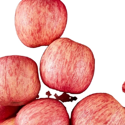 90% de maturidade Fresca Maçã Fuji Melhor e mais comum Tipo de cultivo