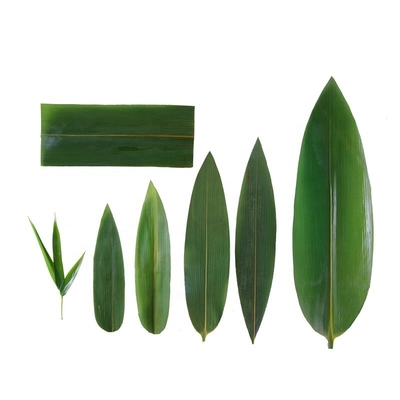 Servir Sushi com embrulhos de folhas de bambu frescos e naturais