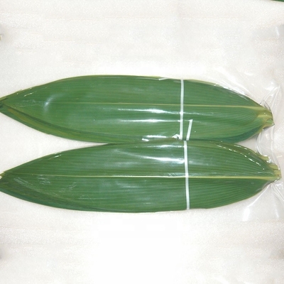 Folhas frescas de bambu 24 meses Garantida vida útil
