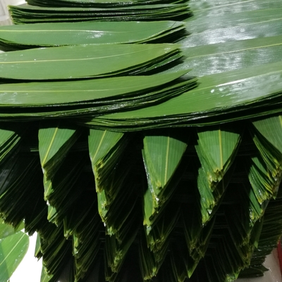 Servir Sushi com embrulhos de folhas de bambu frescos e naturais