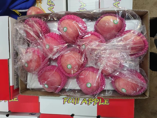 2024 Melhores Maçãs Verde Fuji Produto fresco com 0,4 kg de peso
