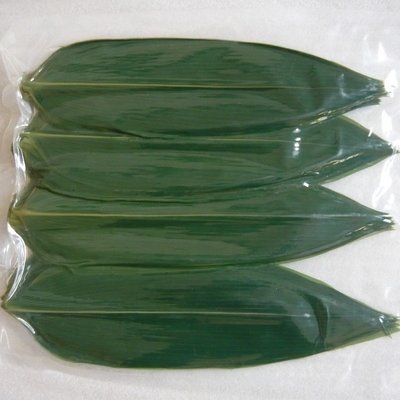 Folhas de bambu da natureza verde HOBA O ingrediente essencial para servir sushi