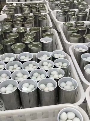 425g de ovos de codorna cozidos em lata para clientes de SHANDONG