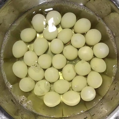 425g de ovos de codorna cozidos em lata para clientes de SHANDONG