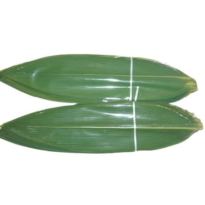 Faça bolinhos de arroz deliciosos com folhas frescas de bambu embaladas a vácuo