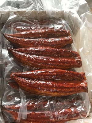 Peças de enguias Unagi torradas O ingrediente perfeito para as suas receitas