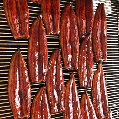 Peças de enguias Unagi torradas O ingrediente perfeito para as suas receitas