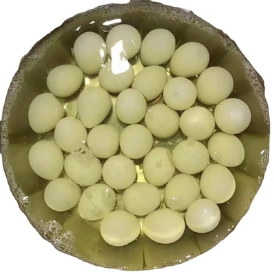Ovos de mesa frescos com alto teor de proteínas Castanho e Branco Cozinhados 425g Em lata Ovos de codorna salgados