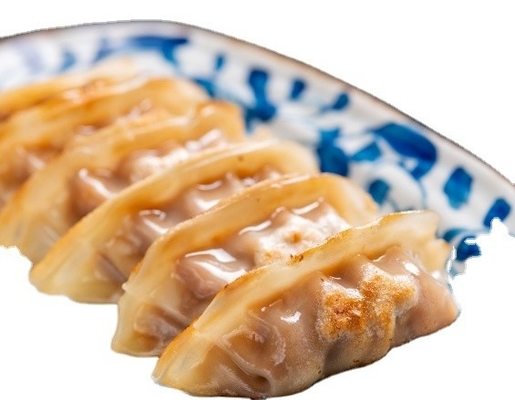 1 kg de bolinhos congelados Gyoza camarão Frango Pato Vegetais Gyoza delicioso sabor doce