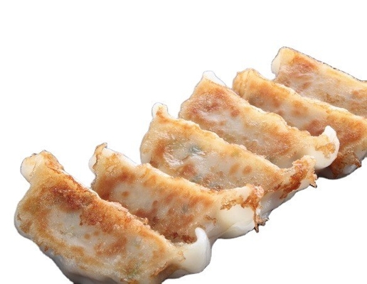 1 kg de bolinhos congelados Gyoza camarão Frango Pato Vegetais Gyoza delicioso sabor doce
