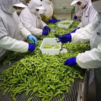 Certificado IQF Edamame congelado a vapor grau A para lanches rápidos e fáceis