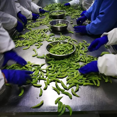 Certificado IQF Edamame congelado a vapor grau A para lanches rápidos e fáceis