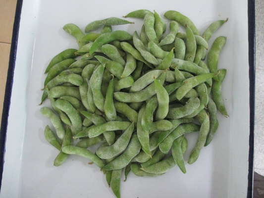 Certificado IQF Edamame congelado a vapor grau A para lanches rápidos e fáceis
