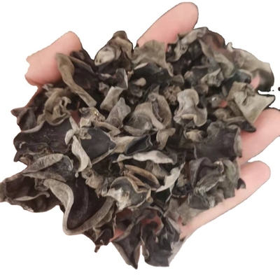 Tipo de armazenamento seco a frio Fungo negro seco orgânico a granel 4-5cm proveniente da Índia e Marrocos