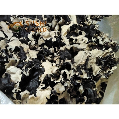 Tipo de armazenamento seco a frio Fungo negro seco orgânico a granel 4-5cm proveniente da Índia e Marrocos