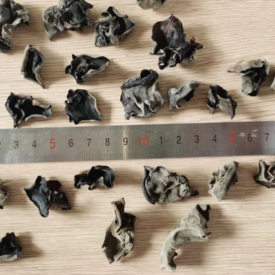Tipo de armazenamento seco a frio Fungo negro seco orgânico a granel 4-5cm proveniente da Índia e Marrocos