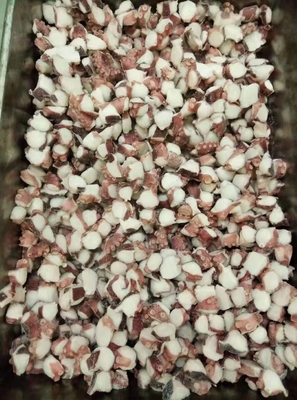 Polvo congelado em fatias TAKO I.Q.F. de Fujian delicioso e conveniente