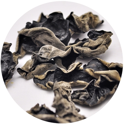Fonte Cultivado Fragmento Seco Negro AGARICO Fungo 24 meses Prazo de validade